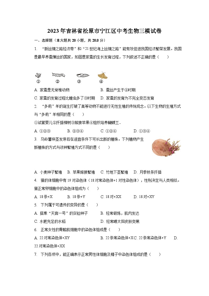 2023年吉林省松原市宁江区中考生物三模试卷（含解析）01
