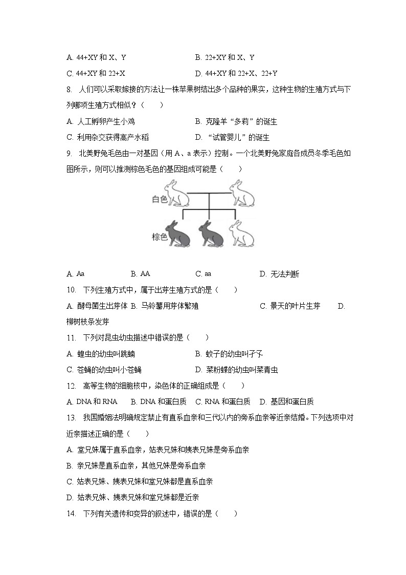2023年吉林省松原市宁江区中考生物三模试卷（含解析）02