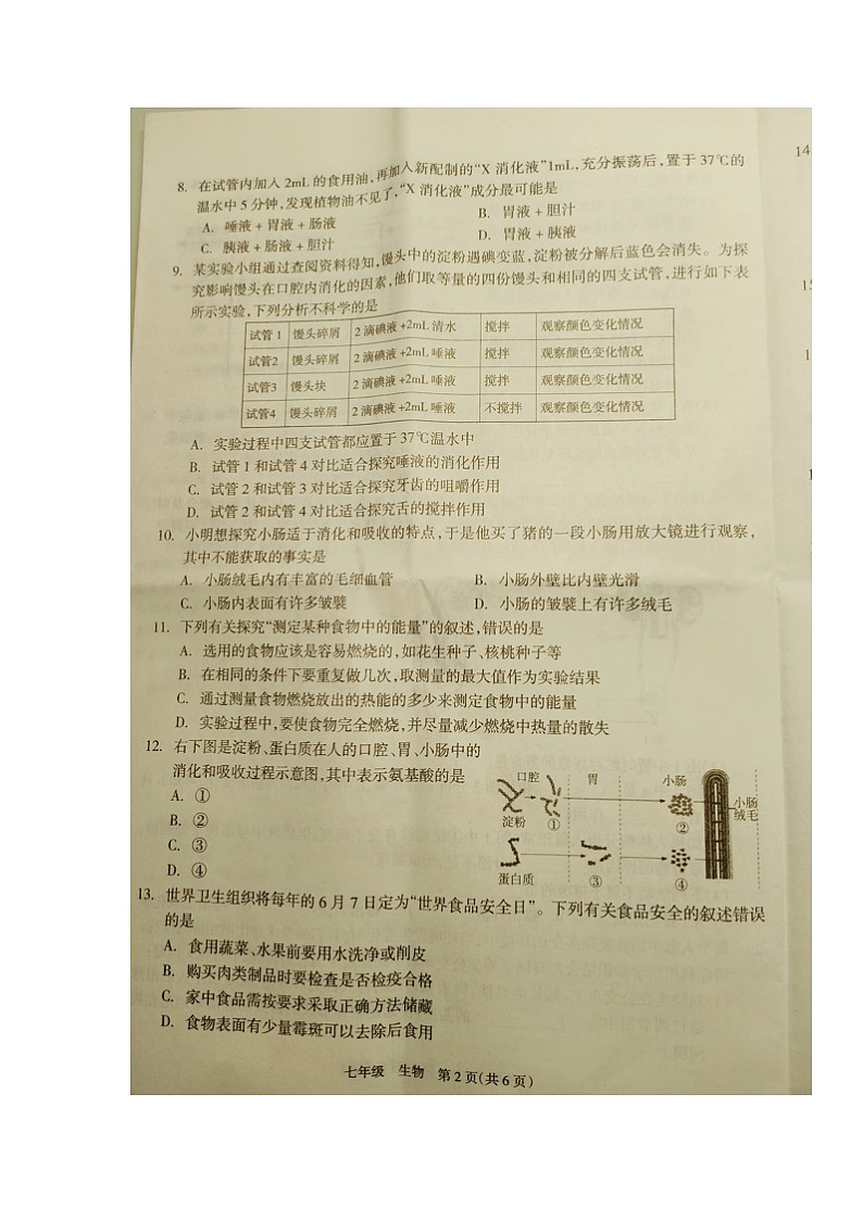 湖南省邵阳市新邵县2022-2023学年七年级下学期期末考试生物试题第2页