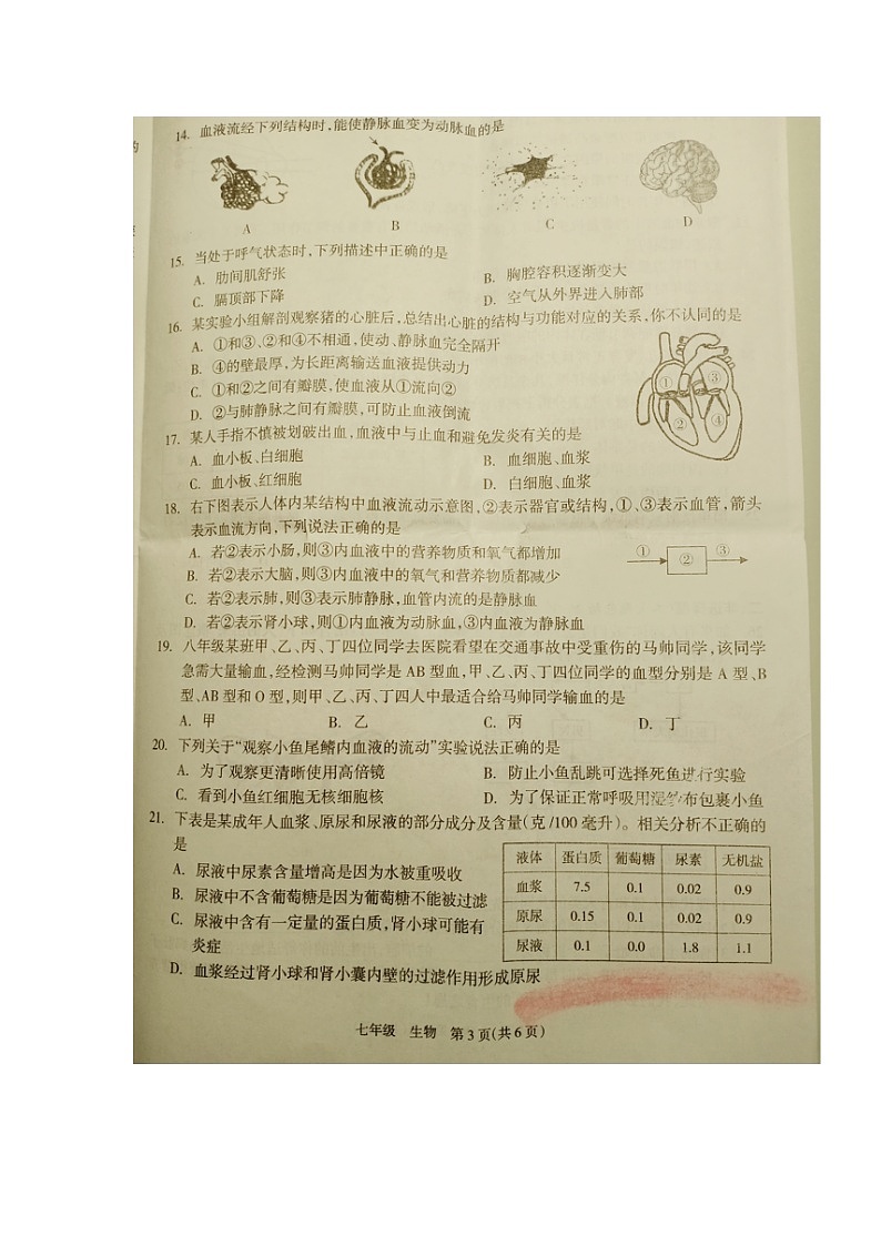 湖南省邵阳市新邵县2022-2023学年七年级下学期期末考试生物试题第3页