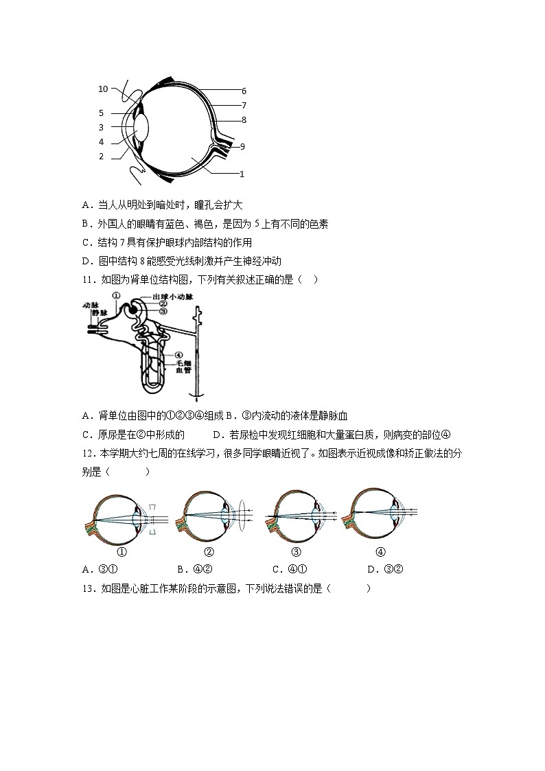 卷02-【押题演练】备战2023年中考生物全真模拟押题卷（北京卷）（原卷版）第3页