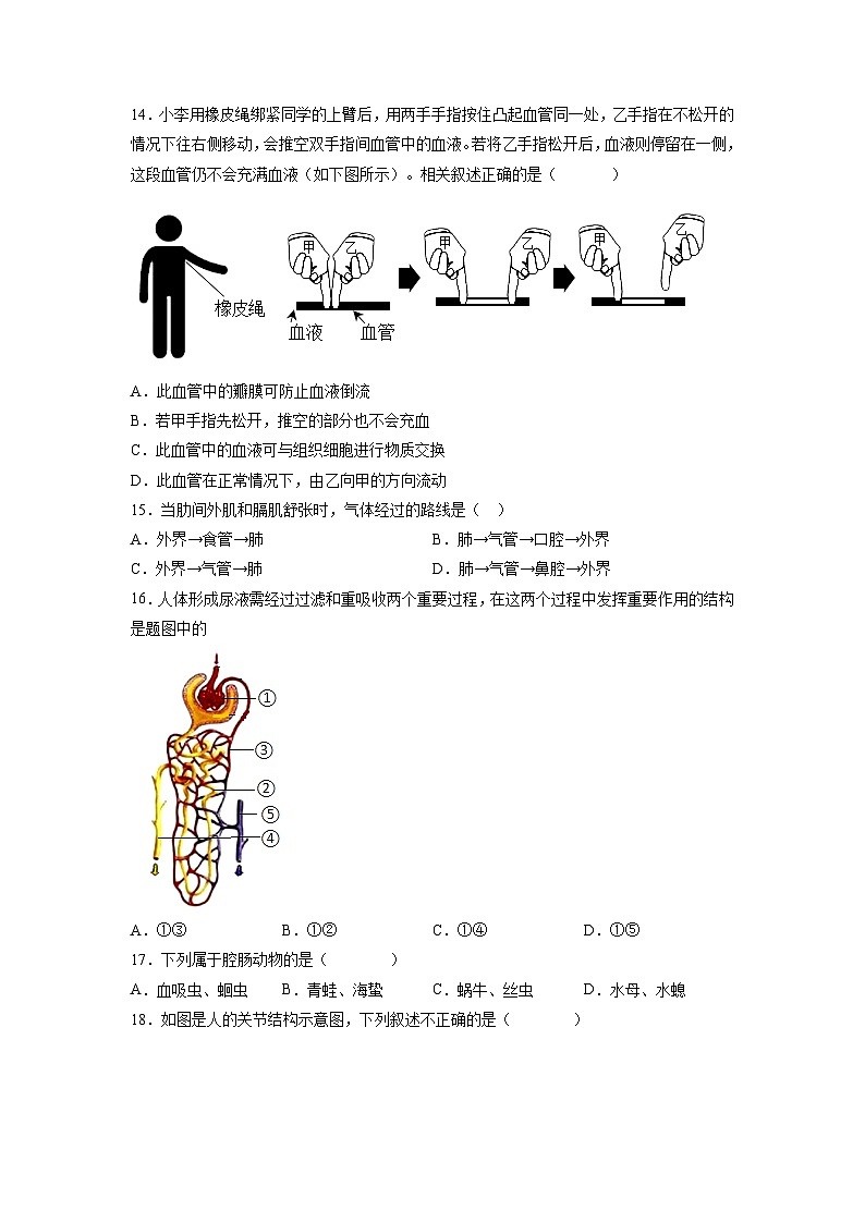 卷03-【押题演练】备战2023年中考生物全真模拟押题卷（北京卷）（试卷）03