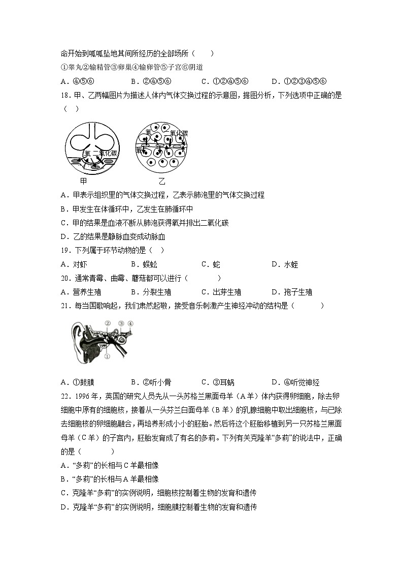 卷10-【押题演练】备战2023年中考生物全真模拟押题卷（北京卷）（试卷版）03