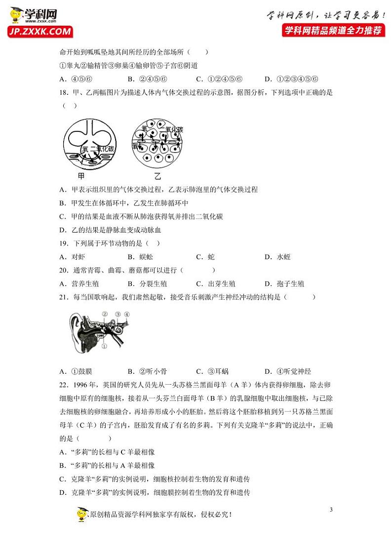 卷10-【押题演练】备战2023年中考生物全真模拟押题卷（北京卷）（试卷版）03