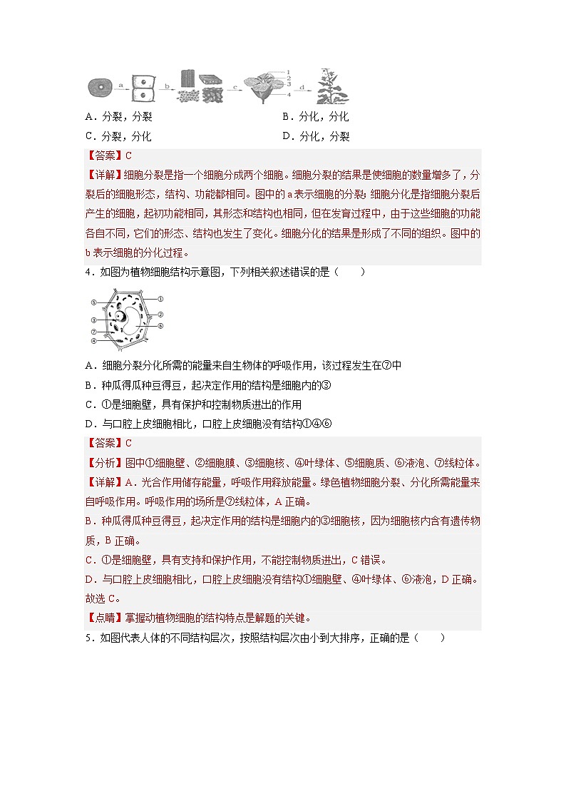卷07-【押题演练】备战2023年中考生物全真模拟押题卷（北京卷）（解析版）02
