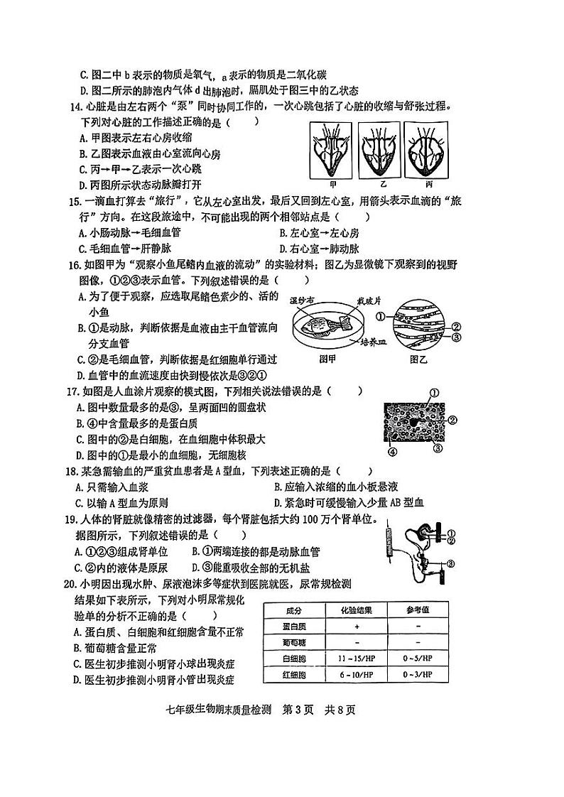 山东省日照市开发区2022-2023年七年级下学期期末考试生物试卷第3页