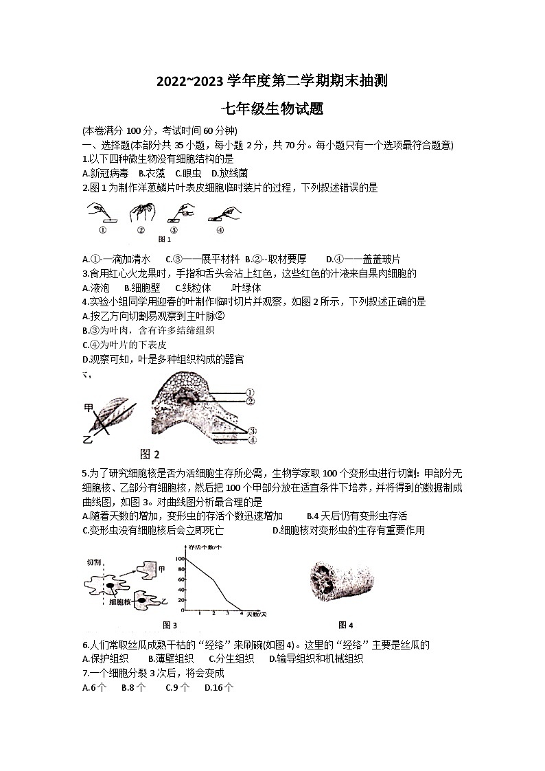 江苏省徐州市2022-2023学年七年级下学期6月期末生物试题第1页