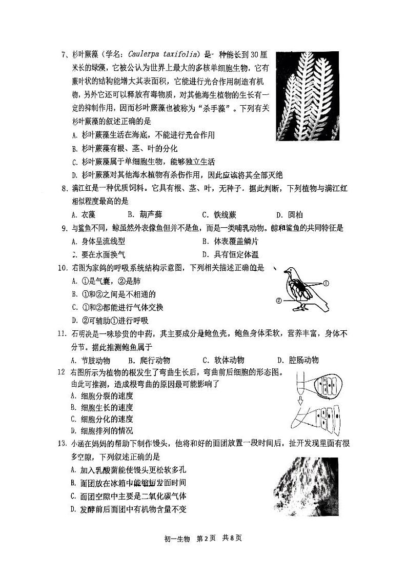 江苏省南通市通州区等2地2022-2023学年七年级下学期6月期末生物试题02