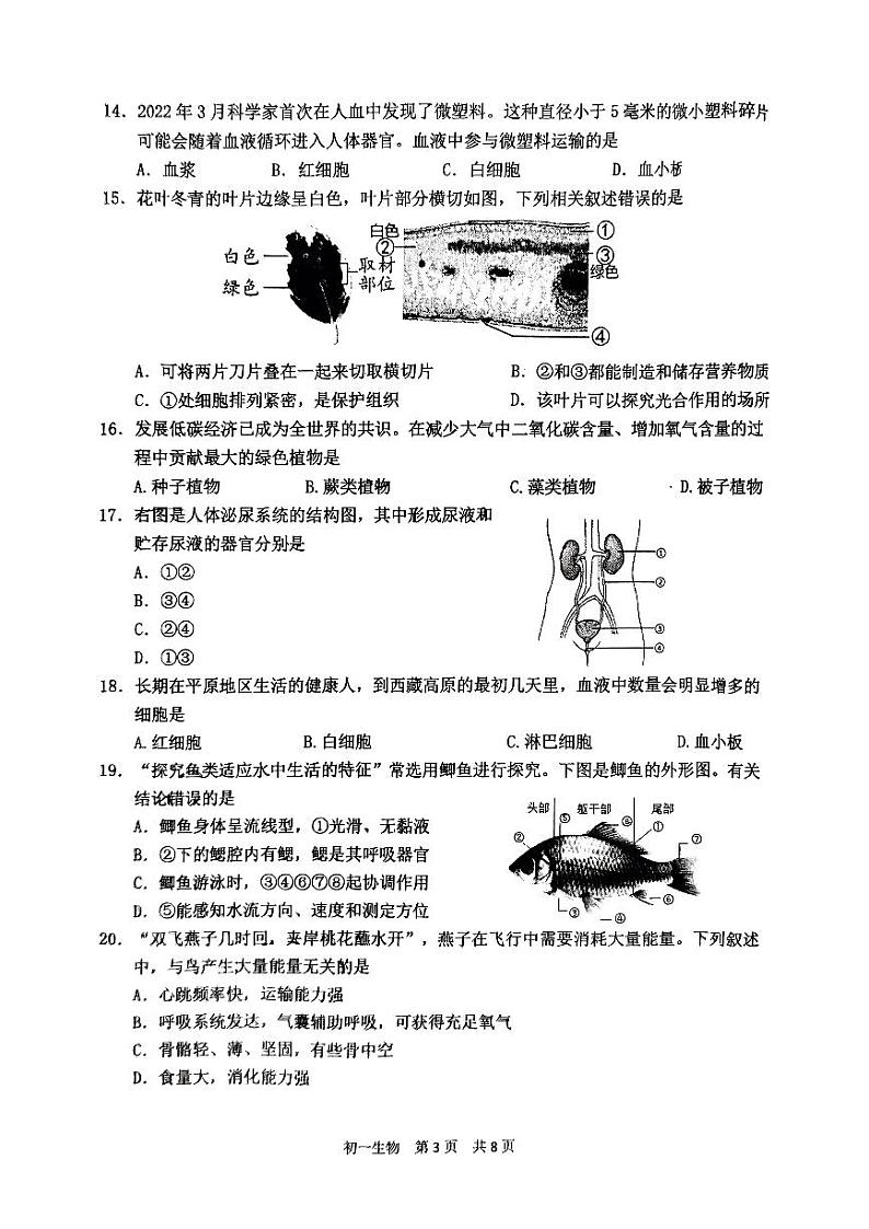 江苏省南通市通州区等2地2022-2023学年七年级下学期6月期末生物试题03