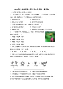 2023年山东省淄博市周村区中考生物二模试卷（含解析）