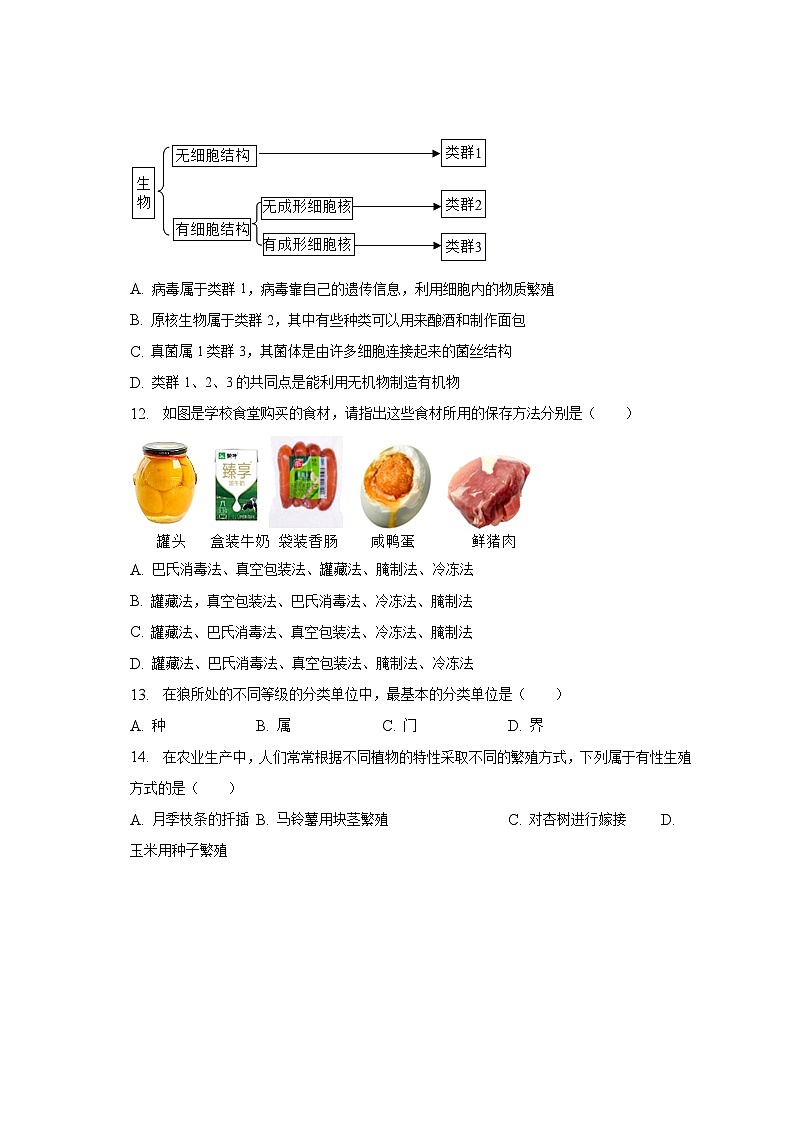 2023年河南省焦作市修武县中考生物一模试卷（含解析）03