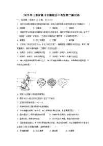 2023年山东省德州市德城区中考生物二模试卷（含解析）