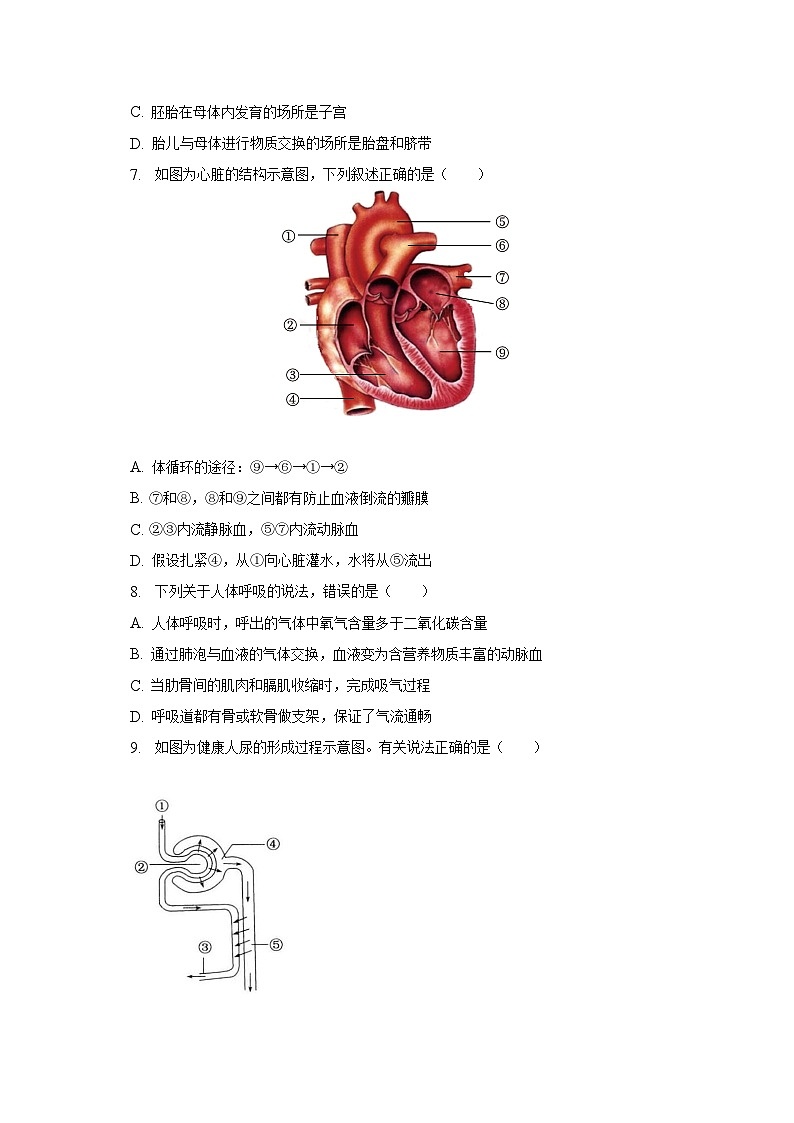 2023年山东省聊城市中考生物试卷（含解析）02