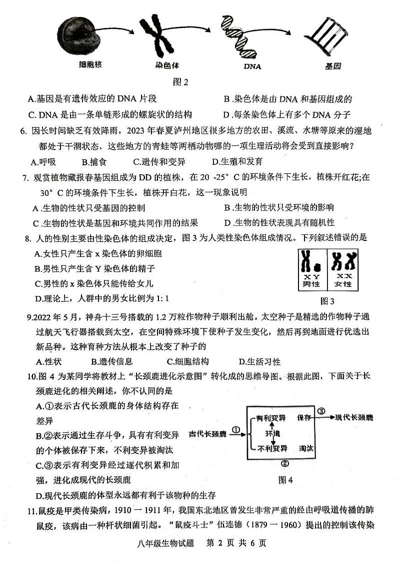 四川省泸州市泸县2022-2023学年八年级下学期6月期末生物试题02