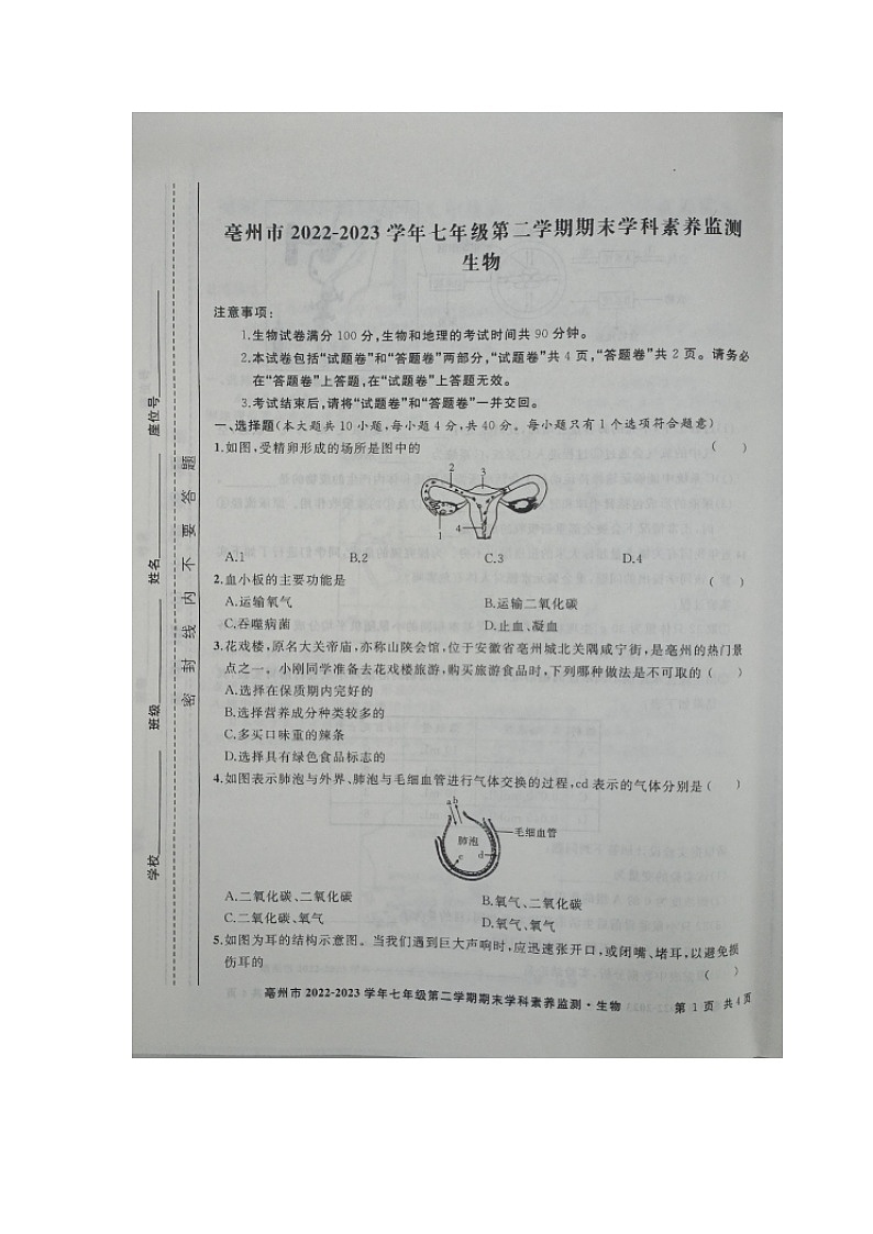 安徽省亳州市谯城区2022-2023学年七年级下学期期末生物试卷01
