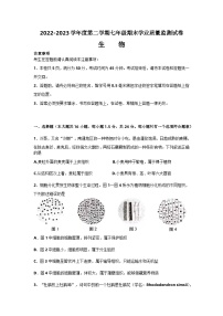 江苏省南通市如皋市2022-2023学年七年级下学期6月期末生物试题