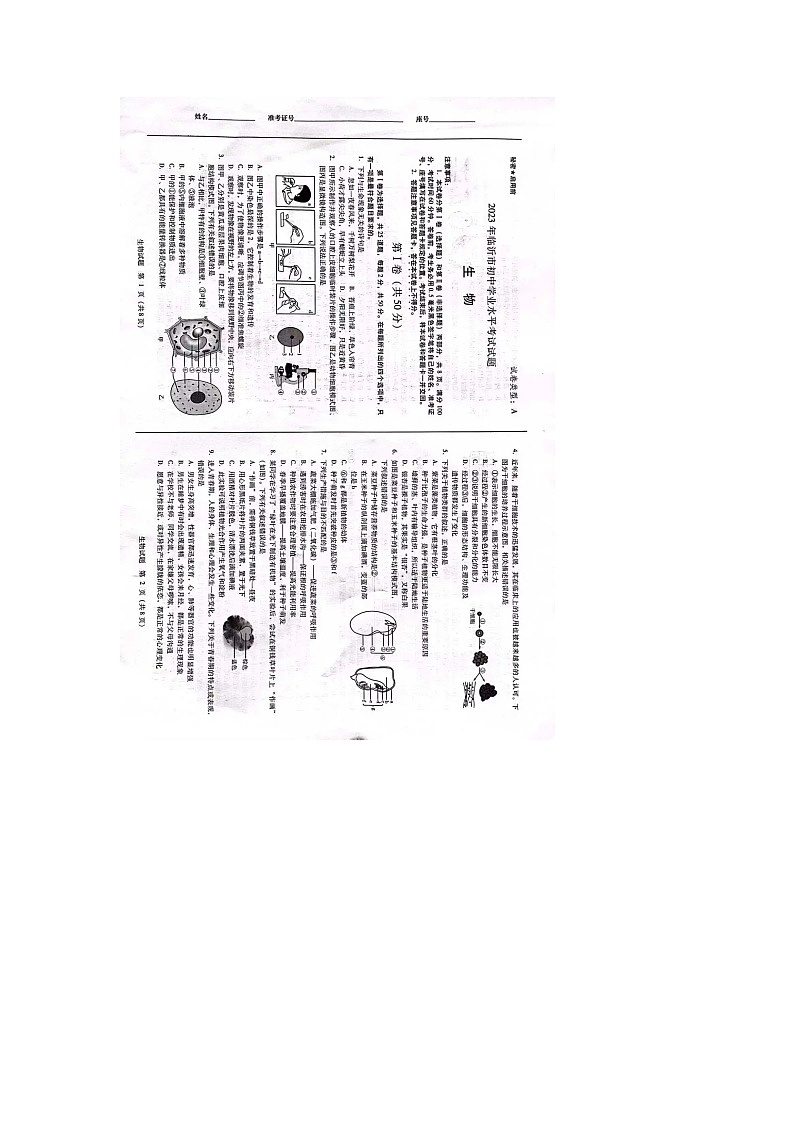 2023年山东省临沂市中考生物真题01