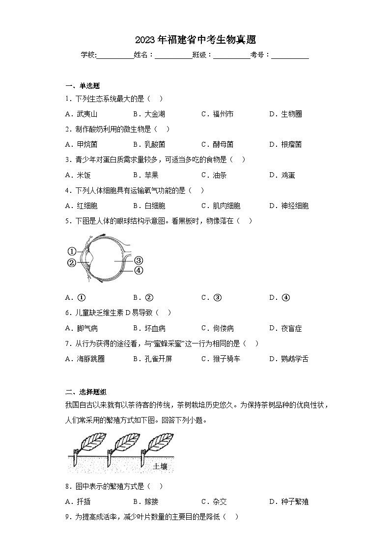 2023年福建省中考生物真题（含答案）01
