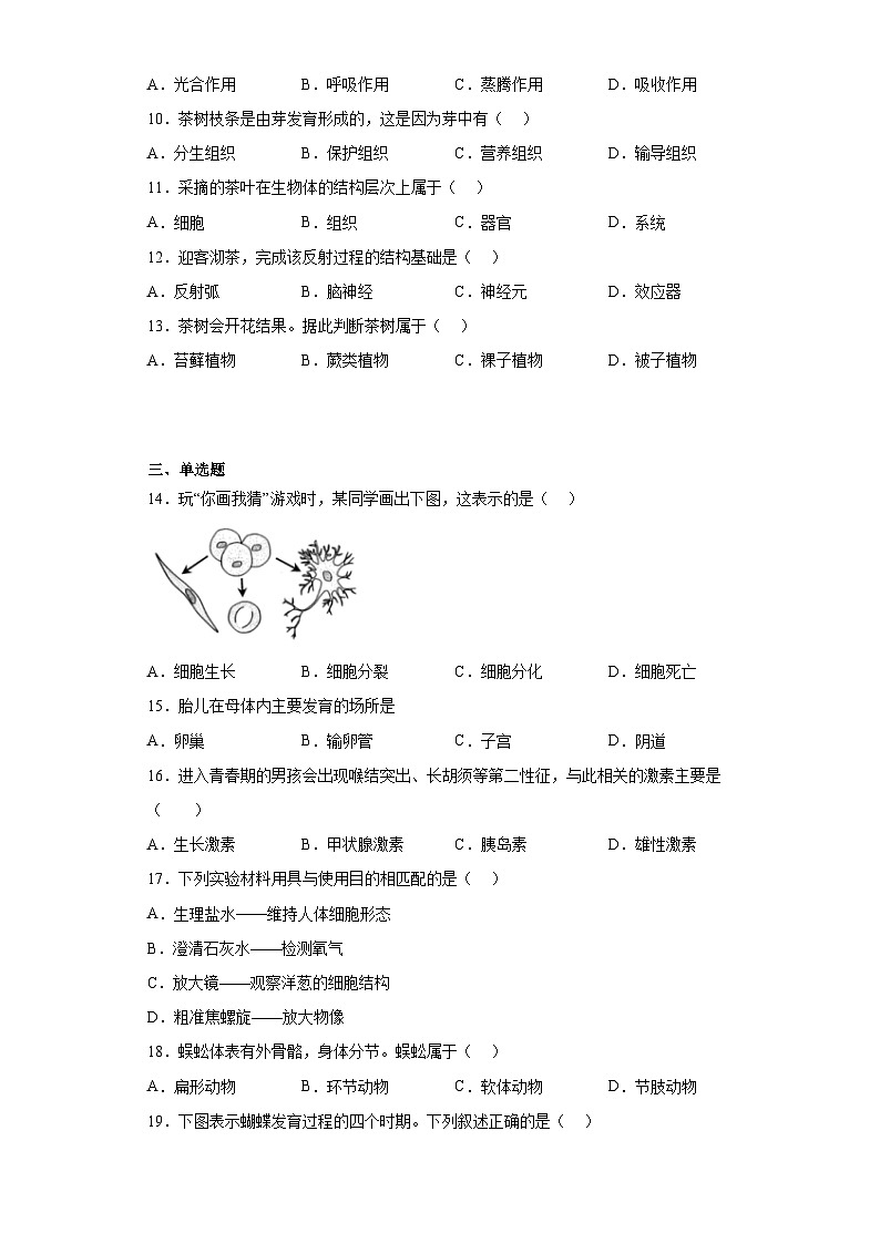 2023年福建省中考生物真题（含答案）02