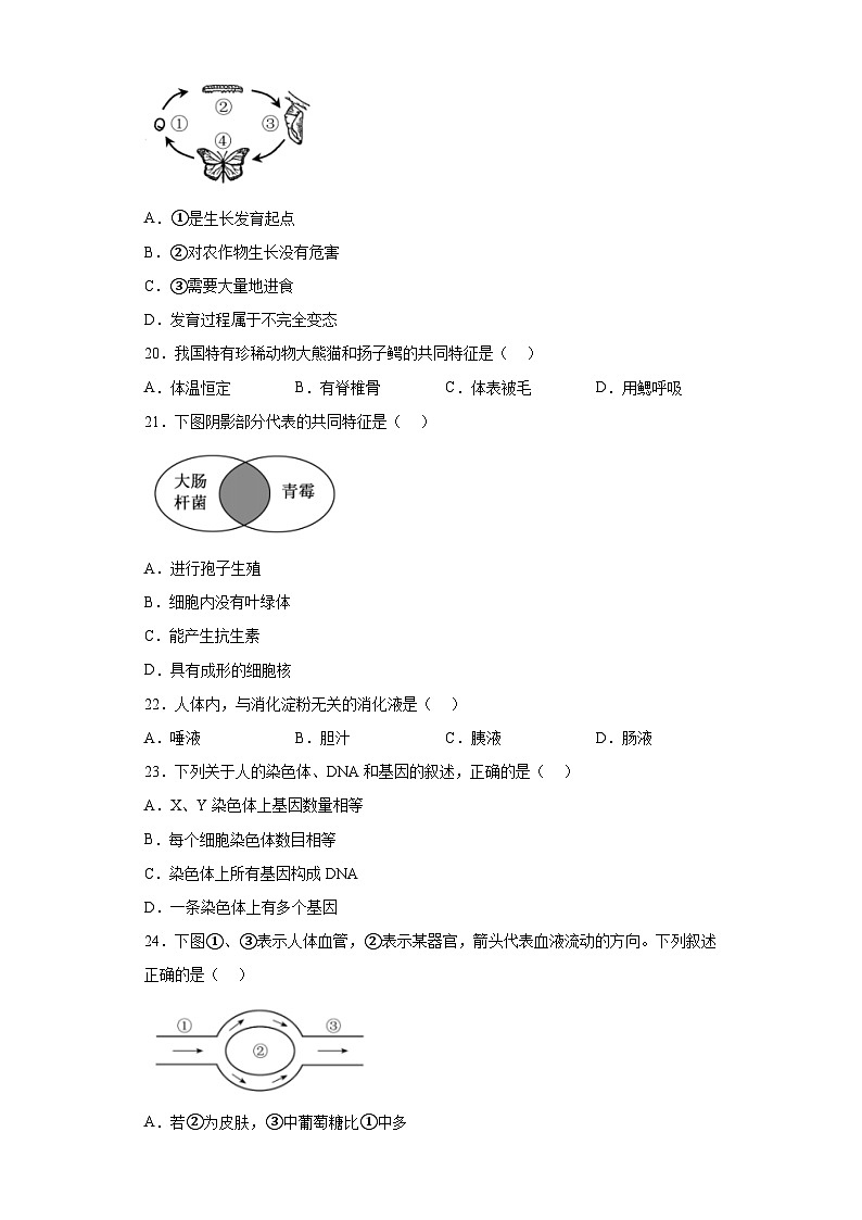 2023年福建省中考生物真题（含答案）03