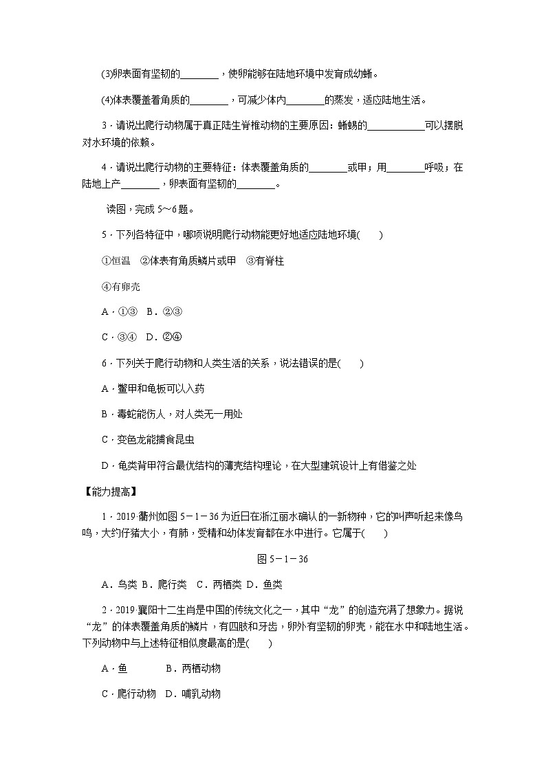 人教版八年级生物上册同步练习：5.1.5两栖动物和爬行动物第3页