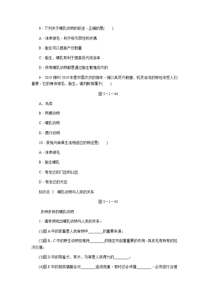 人教版八年级生物上册同步练习：5.1.7　哺乳动物第2页