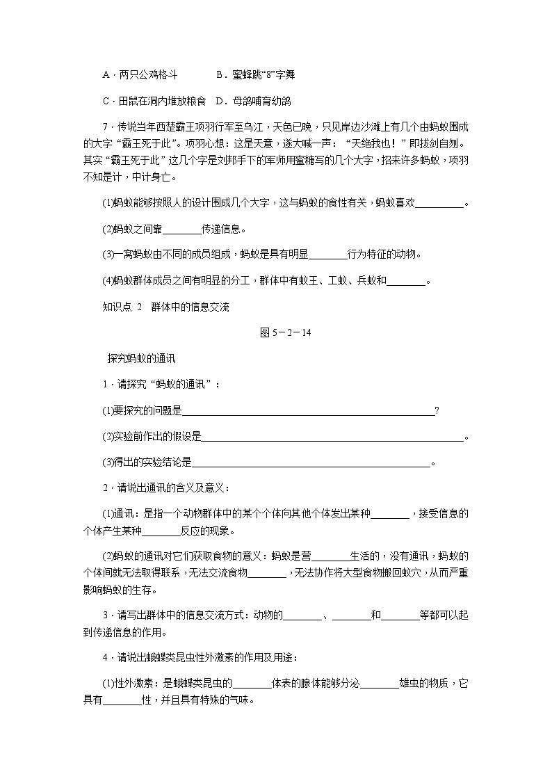 人教版八年级生物上册同步练习：5.2.3社会行为02