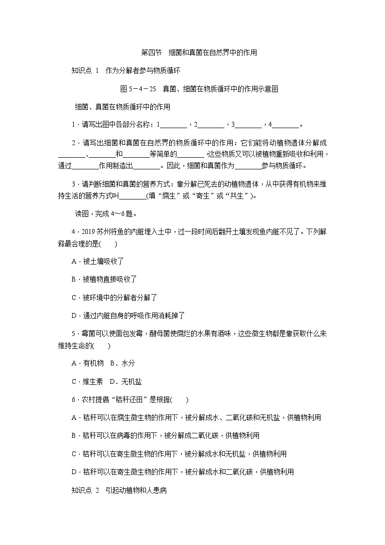 人教版八年级生物上册同步练习：5.4.4　细菌和真菌在自然界中的作用01