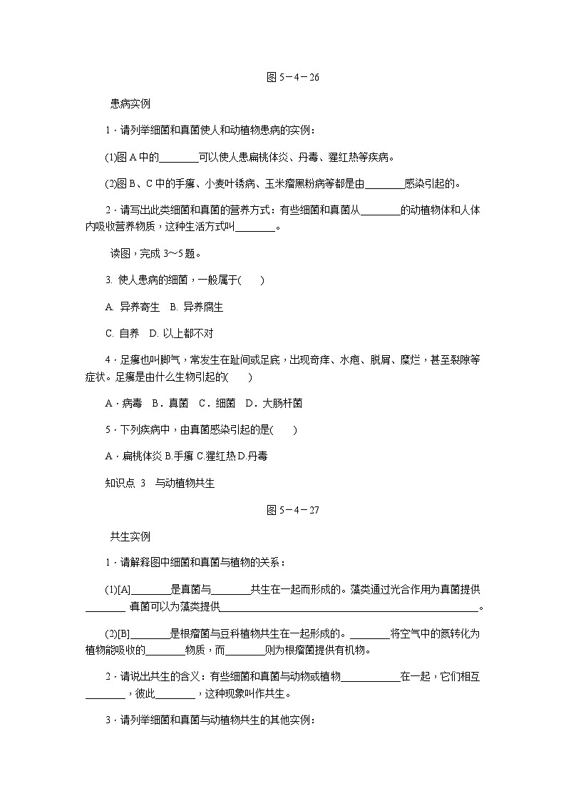 人教版八年级生物上册同步练习：5.4.4　细菌和真菌在自然界中的作用02
