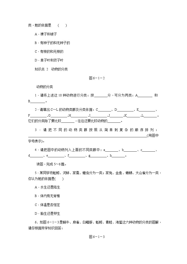 人教版八年级生物上册同步练习：6.1.1　尝试对生物进行分类02