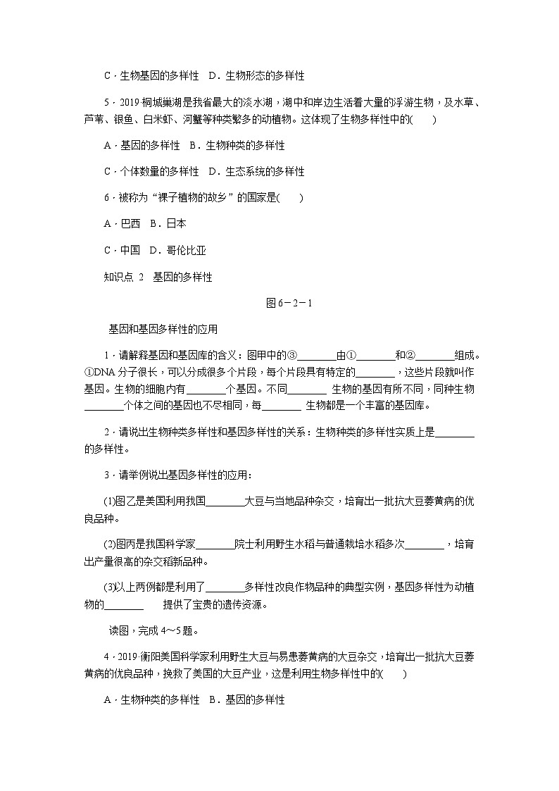 人教版八年级生物上册同步练习：第六单元 第二章　认识生物的多样性02