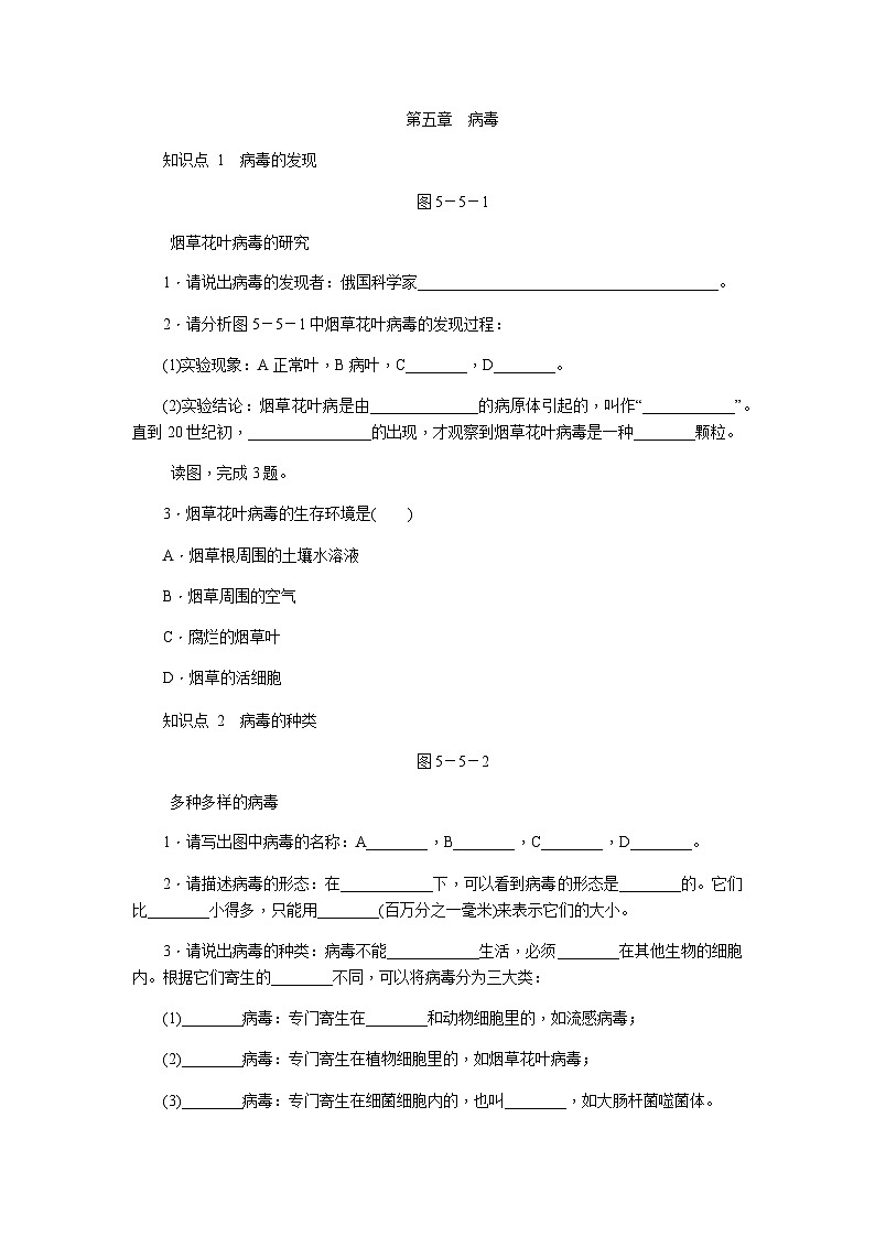 人教版八年级生物上册同步练习：第五单元 第五章　病毒第1页