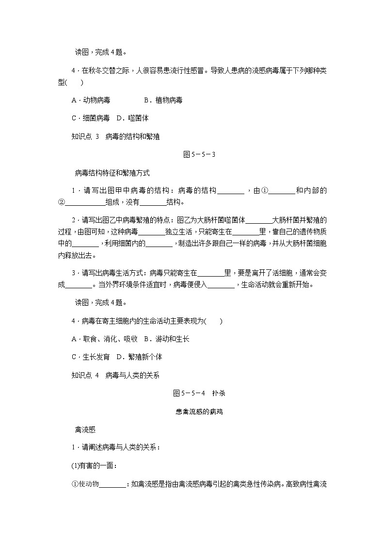 人教版八年级生物上册同步练习：第五单元 第五章　病毒第2页