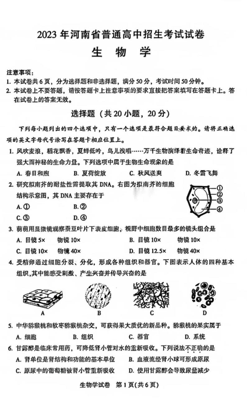 2023年河南省普通高中招生考试试卷 生物试卷及答案01