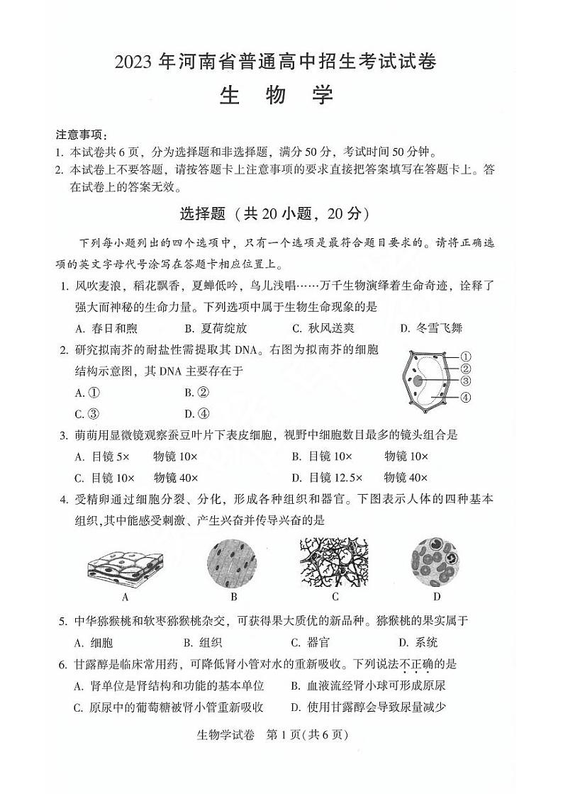 2023年河南省中考生物学试卷+答案第1页