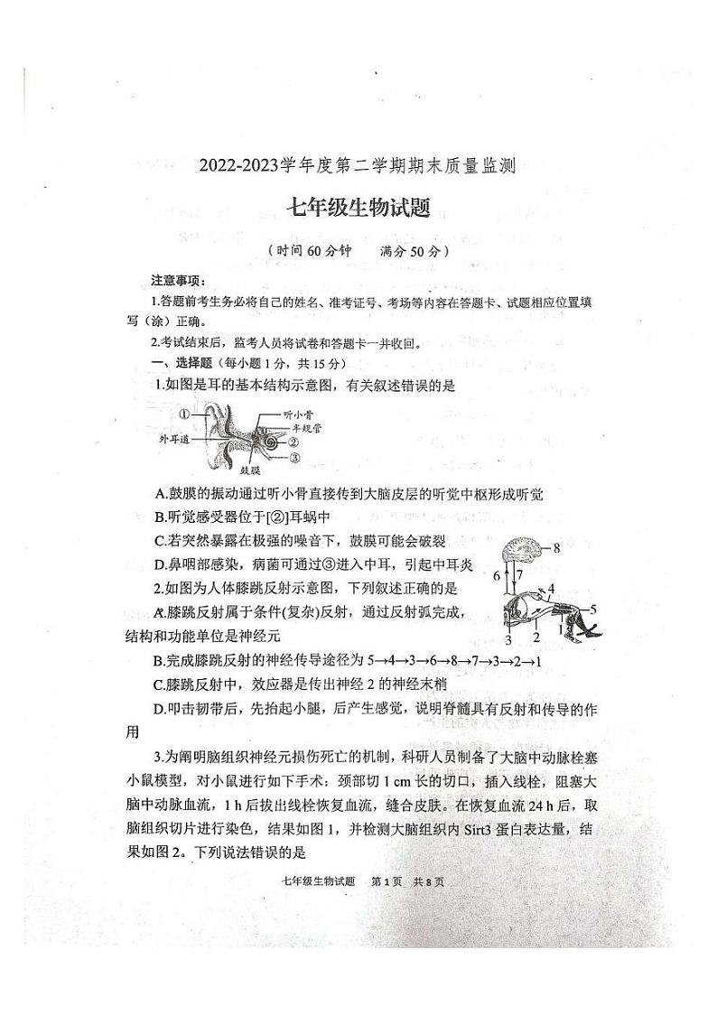山东省泰安市宁阳县（五四学制）2022-2023学年七年级下学期期末考试生物试题第1页