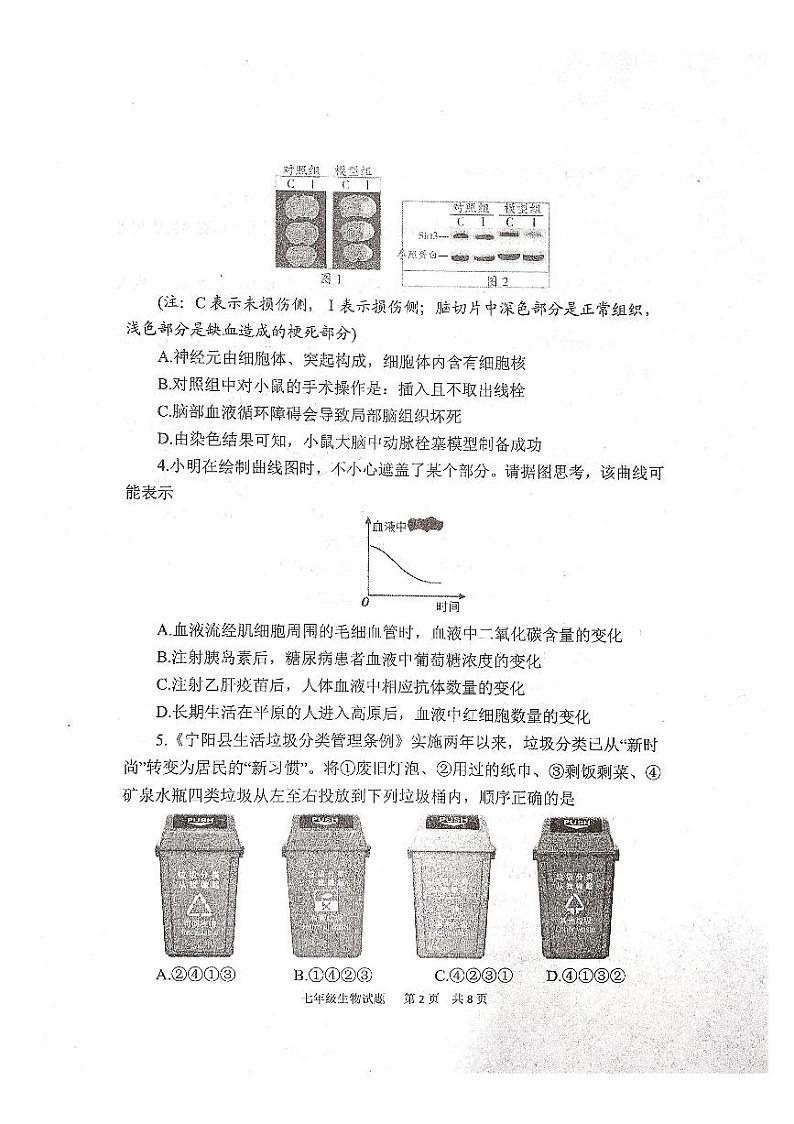 山东省泰安市宁阳县（五四学制）2022-2023学年七年级下学期期末考试生物试题第2页