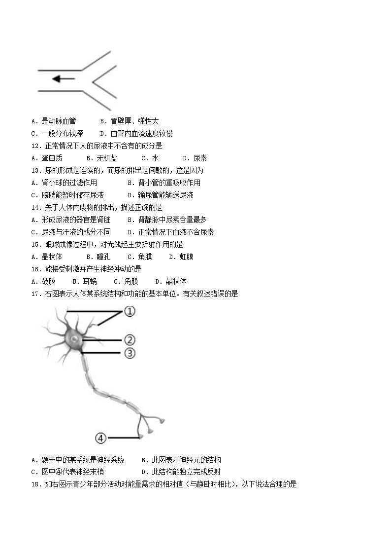 湖南省岳阳市2022-2023学年七年级下学期期末生物试题02