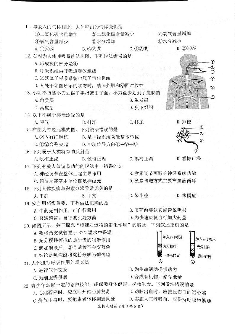 福建省泉州市南安市2022-2023学年七年级下学期期末教学质量监测生物试题第2页