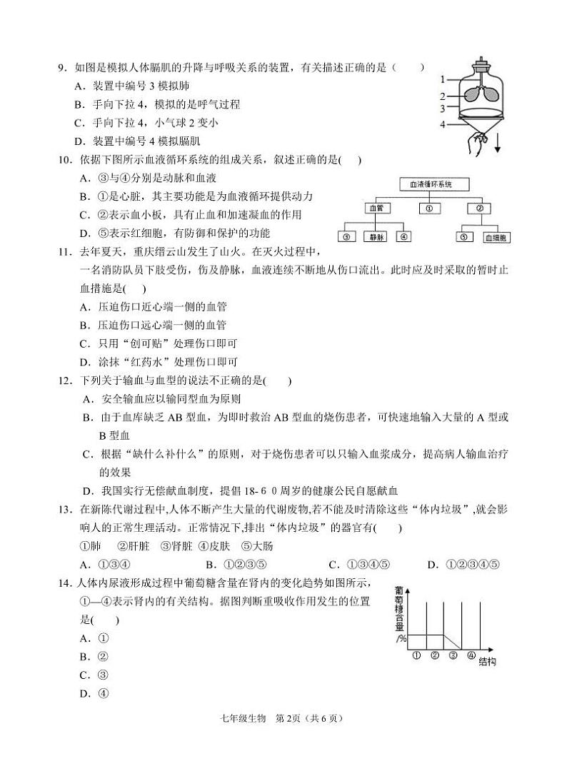 四川省广安市邻水县2022-2023学年七年级下学期期末考试生物试题02