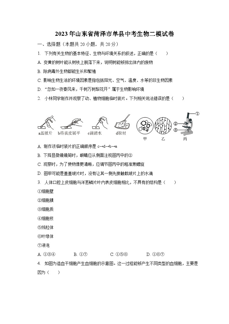 2023年山东省菏泽市单县中考生物二模试卷（含解析）01