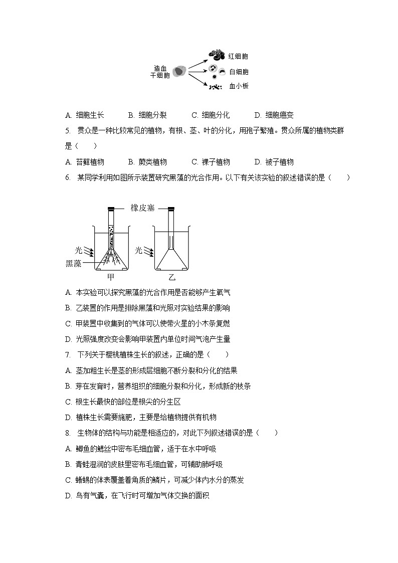 2023年山东省菏泽市单县中考生物二模试卷（含解析）02