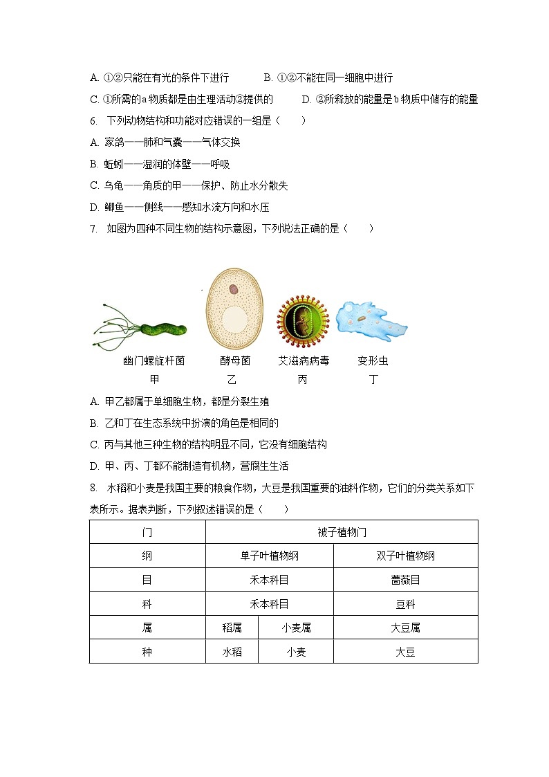 2023年山东省济南市天桥区中考生物三模试卷（含解析）第2页