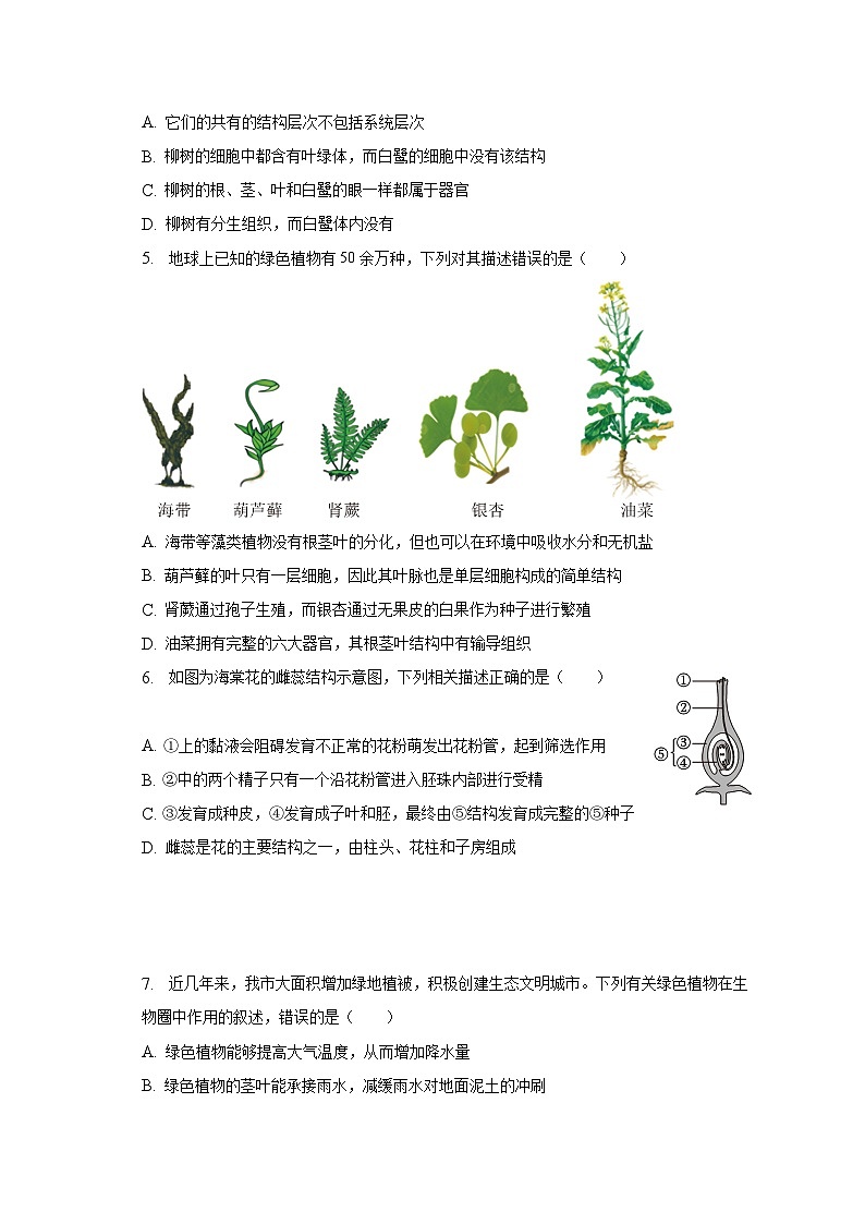 2023年山东省聊城市阳谷县中考生物二模试卷（含解析）02