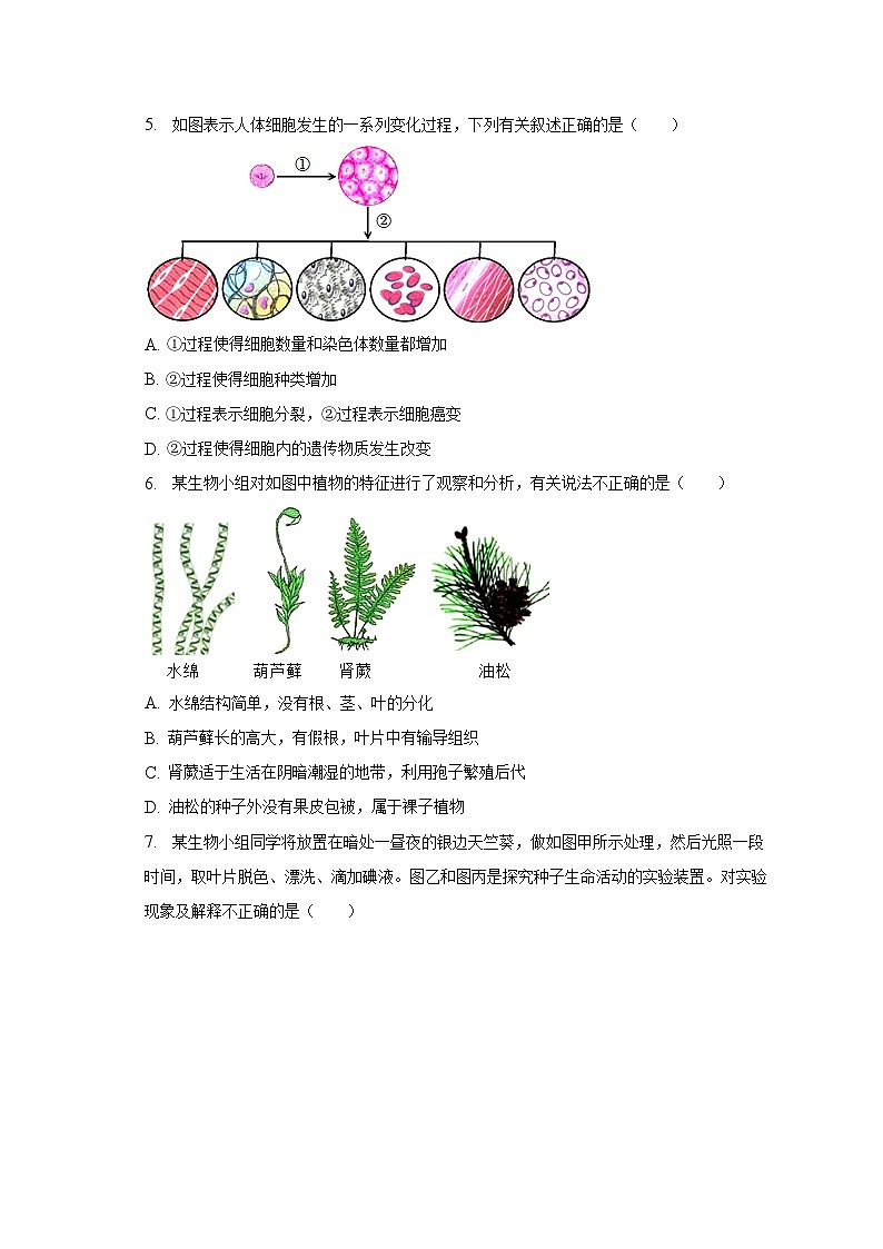 2023年山东省临沂市郯城县中考生物二模试卷（含解析）02