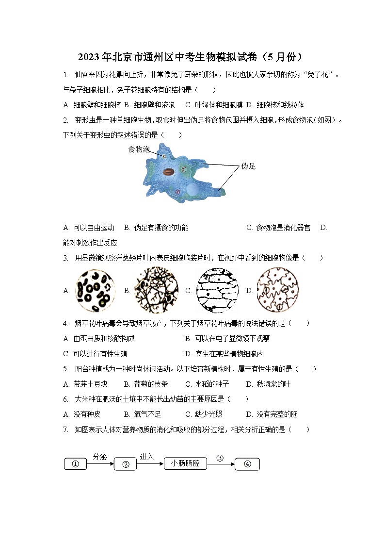 2023年北京市通州区中考生物模拟试卷（5月份）（含解析）01