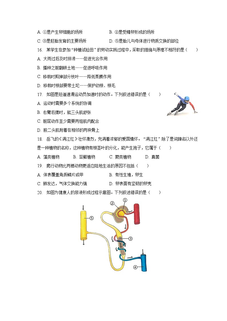 2023年福建省泉州晋江市中考生物二模试卷（含解析）03