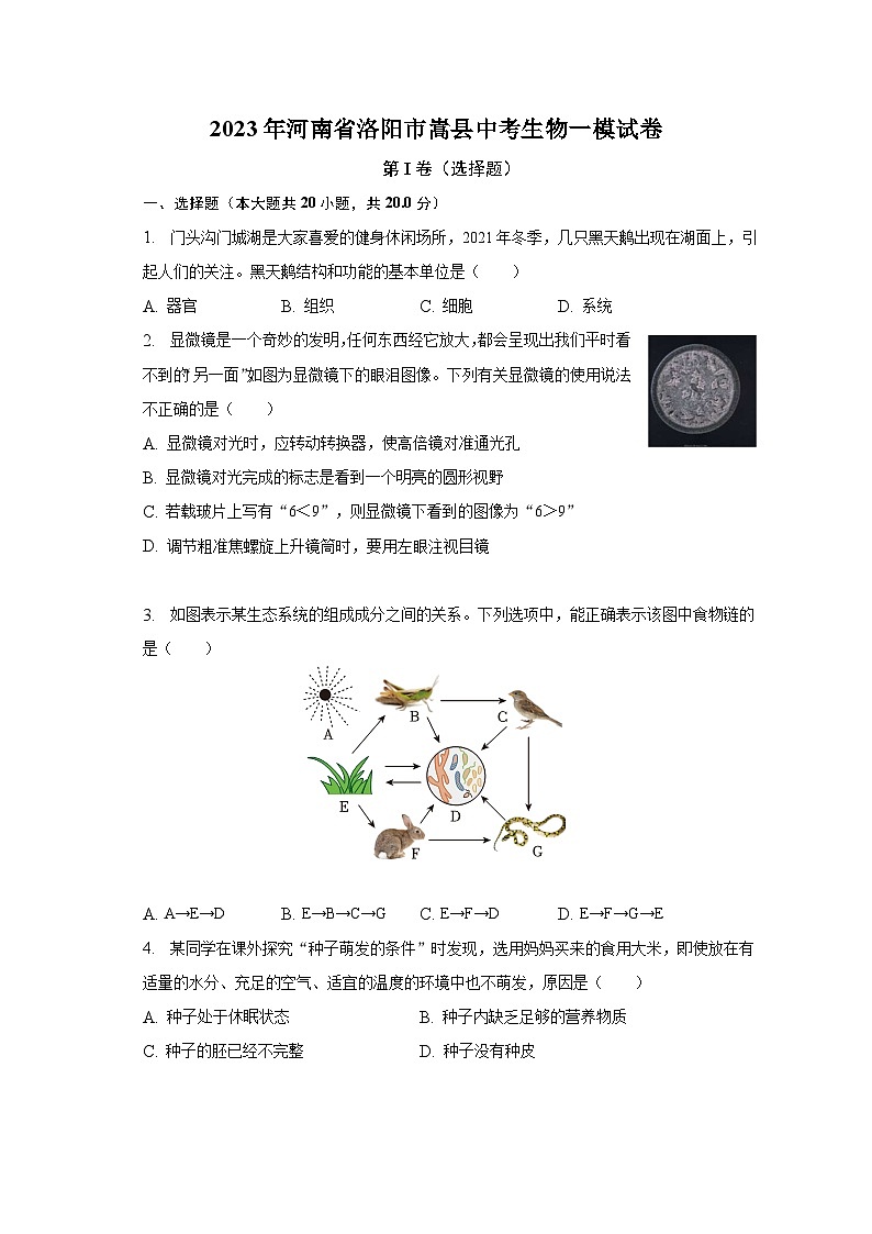 2023年河南省洛阳市嵩县中考生物一模试卷（含解析）01