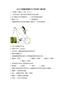 2023年湖南省衡阳市中考生物二模试卷（含解析）