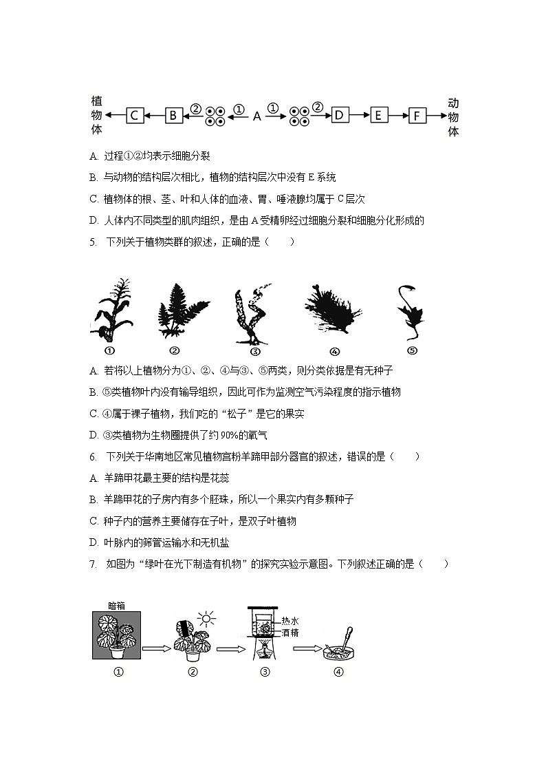 2023年湖南省娄底市中考生物三模试卷（含解析）第2页